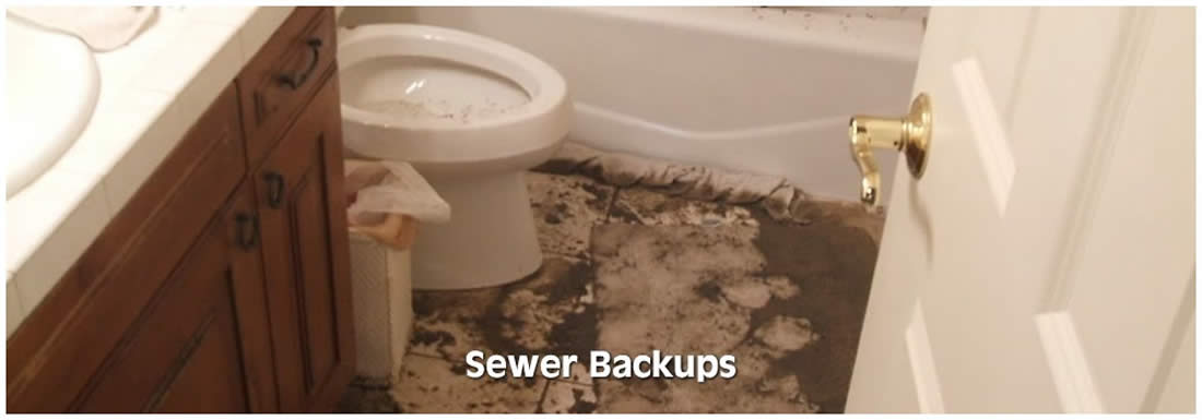 Sewer Backup Services